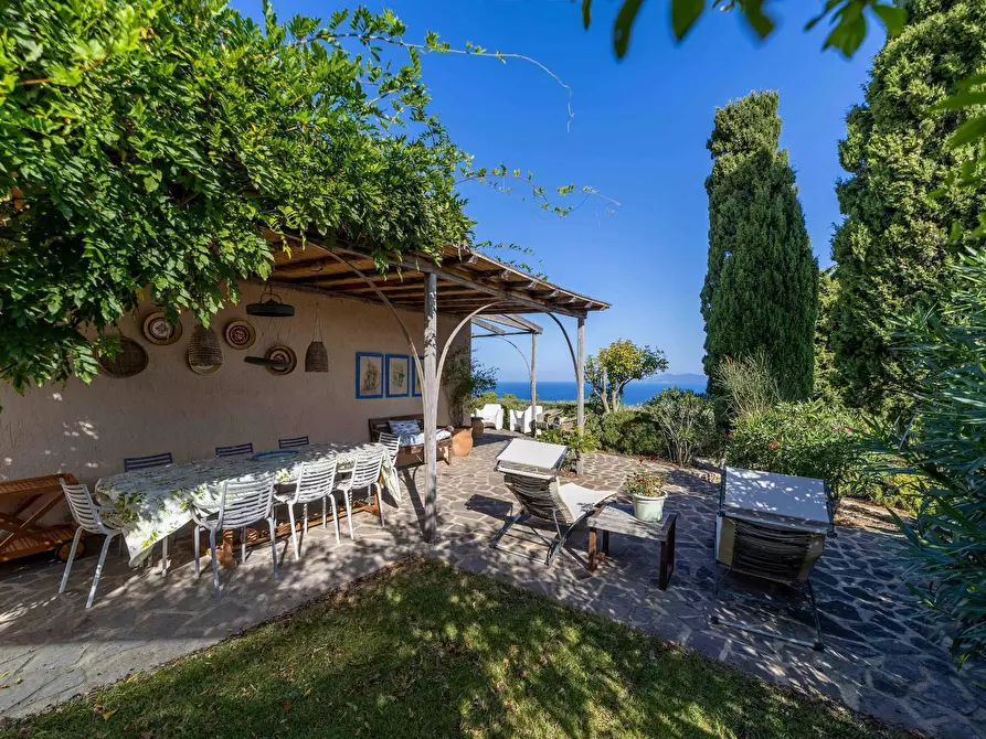 Immagine 1 di Villa in affitto  in Via Lividonia snc a Monte Argentario