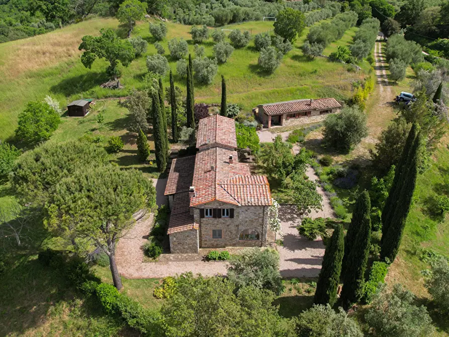 Immagine 3 di Rustico / casale in vendita  in vicolo dei fossi 2/C a Scansano