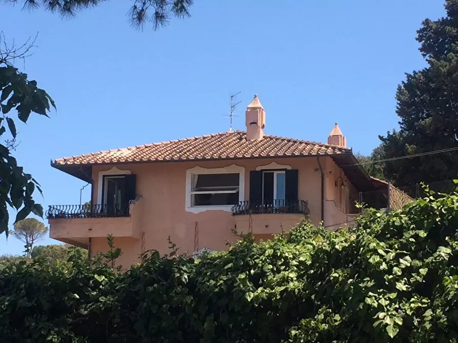 Immagine 3 di Appartamento in vendita  in Via Discesa del Valle snc a Monte Argentario