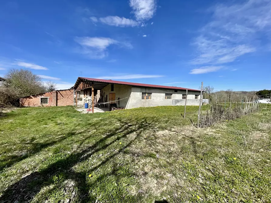 Immagine 5 di Rustico / casale in vendita  in Borgata Biarella 32 a Dogliani