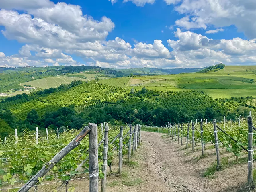 Immagine 4 di Terreno agricolo in vendita  in Via Roma 8 a Serralunga D'alba