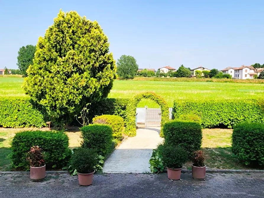 Immagine 5 di Quadrilocale in vendita  in Via Pietro Nenni 38 a Fontanellato