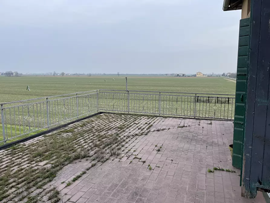 Immagine 17 di Azienda agricola in vendita  in Via al Serraglio 35 a Colorno