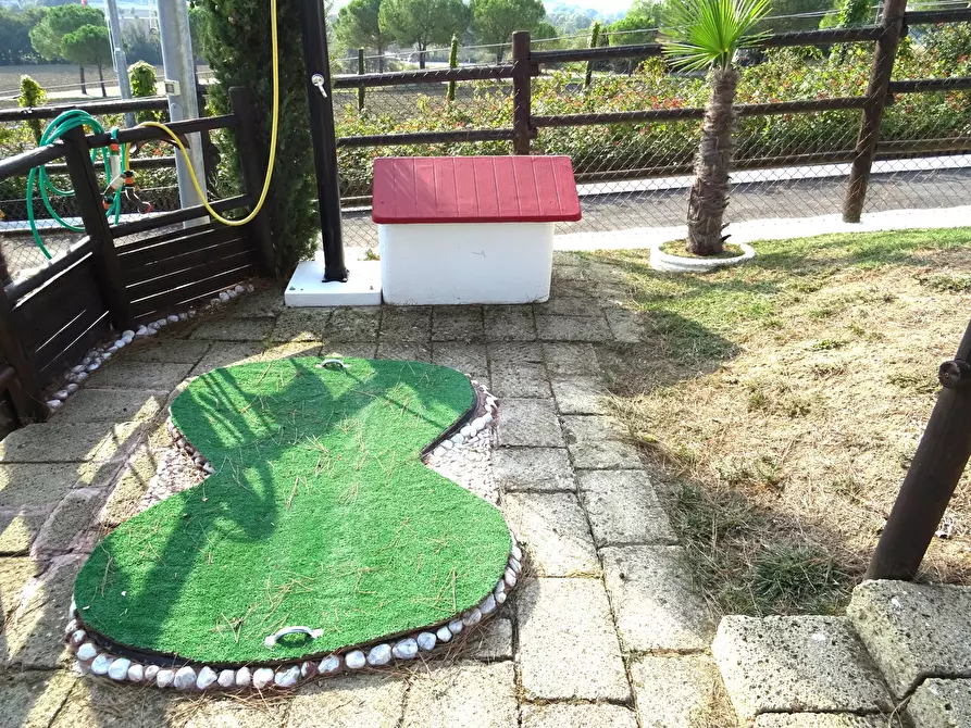 Immagine 5 di Rustico / casale in vendita  a Ostra Vetere