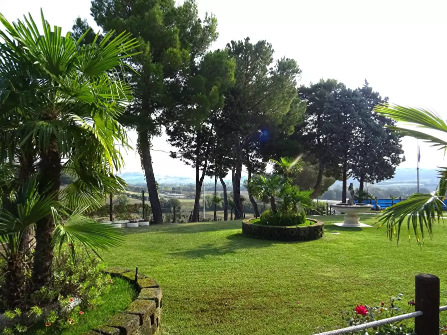 Immagine 10 di Rustico / casale in vendita  a Ostra Vetere
