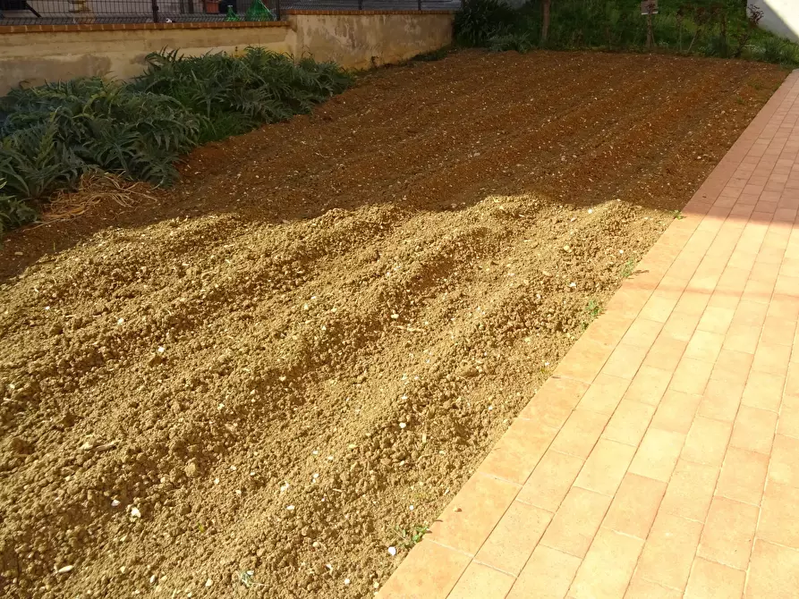 Immagine 18 di Appartamento in vendita  a Trecastelli