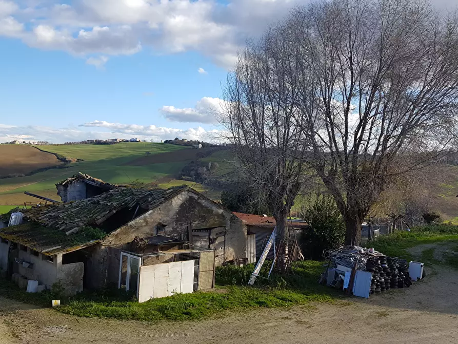 Immagine 10 di Rustico / casale in vendita  a Senigallia