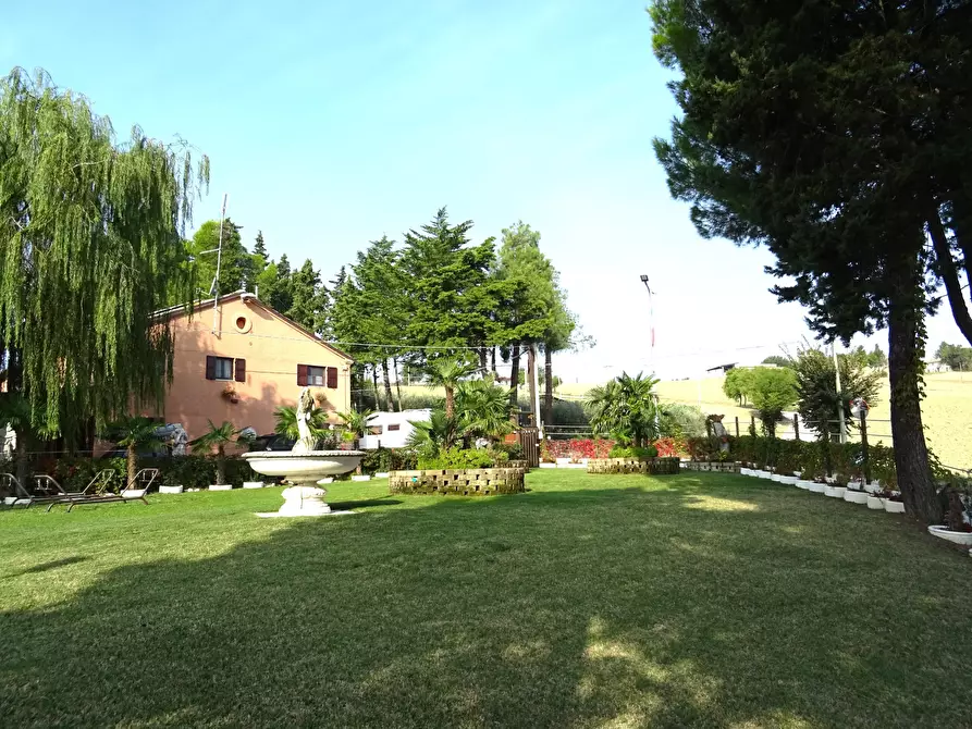 Immagine 1 di Rustico / casale in vendita  a Ostra Vetere
