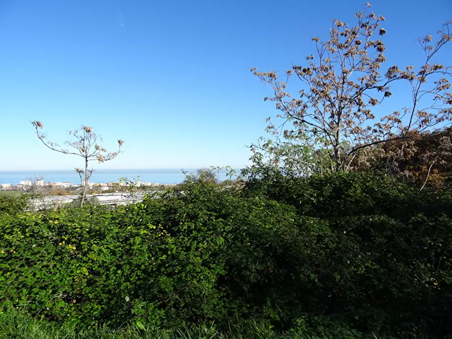 Immagine 13 di Rustico / casale in vendita  a Senigallia