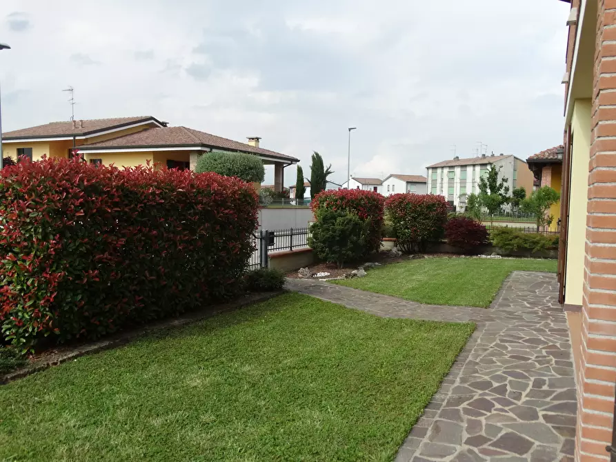 Immagine 5 di Casa indipendente in vendita  in Via della Repubblica 255 a Guarda Veneta