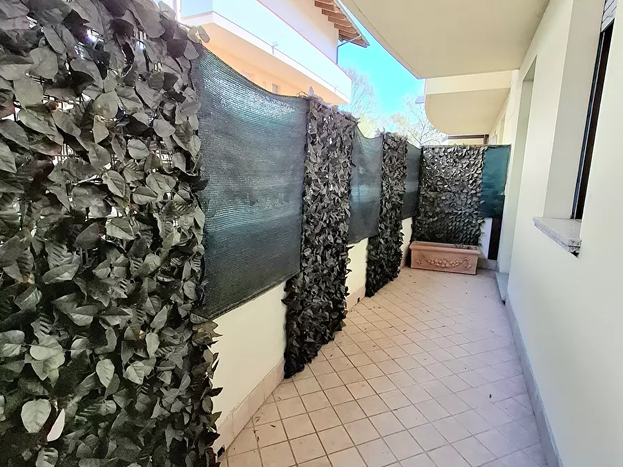 Immagine 11 di Trilocale in vendita  in via g. b. buffetti a Rovigo