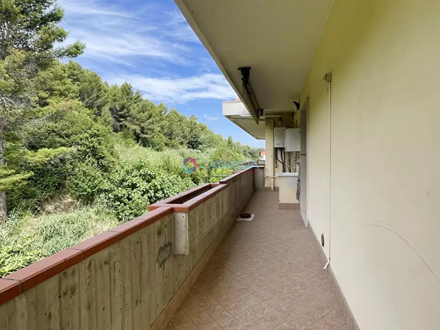 Immagine 16 di Attico in vendita  a Pineto