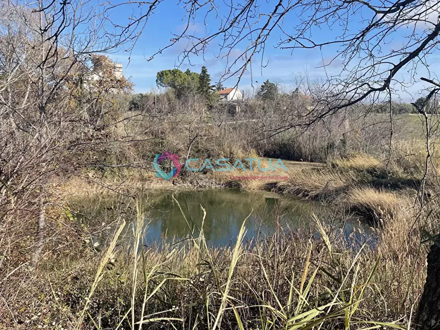 Immagine 47 di Rustico / casale in vendita  a Loreto Aprutino