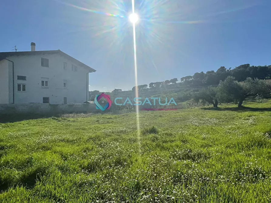 Immagine 24 di Terreno agricolo in vendita  a Silvi