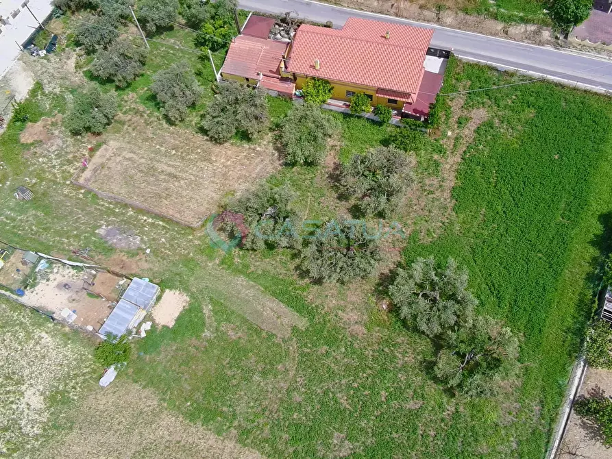 Immagine 44 di Terreno agricolo in vendita  a Silvi