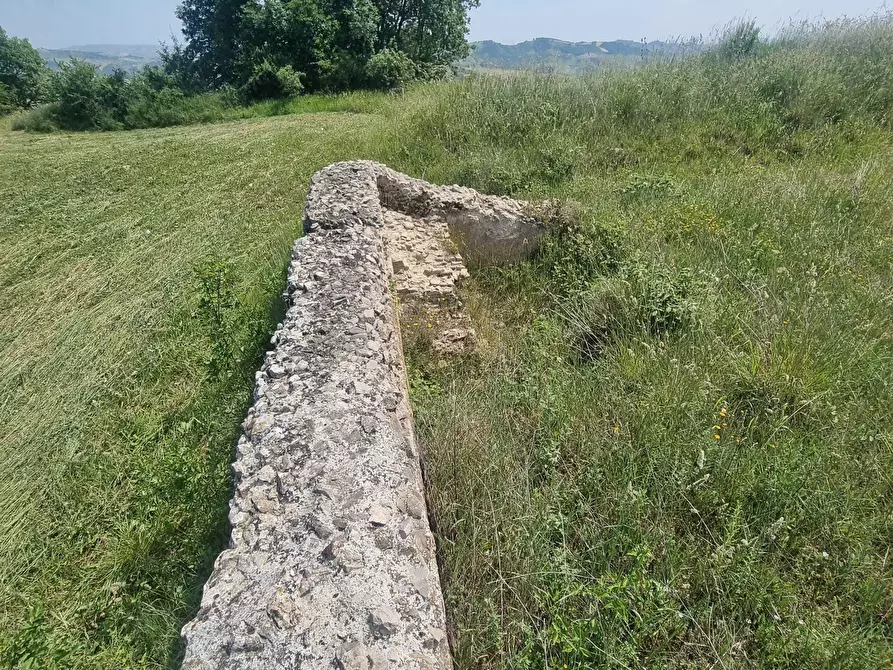 Immagine 28 di Terreno agricolo in vendita  a Farindola