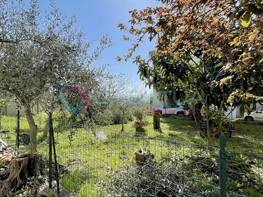 Immagine 6 di Porzione di casa in vendita  a Silvi