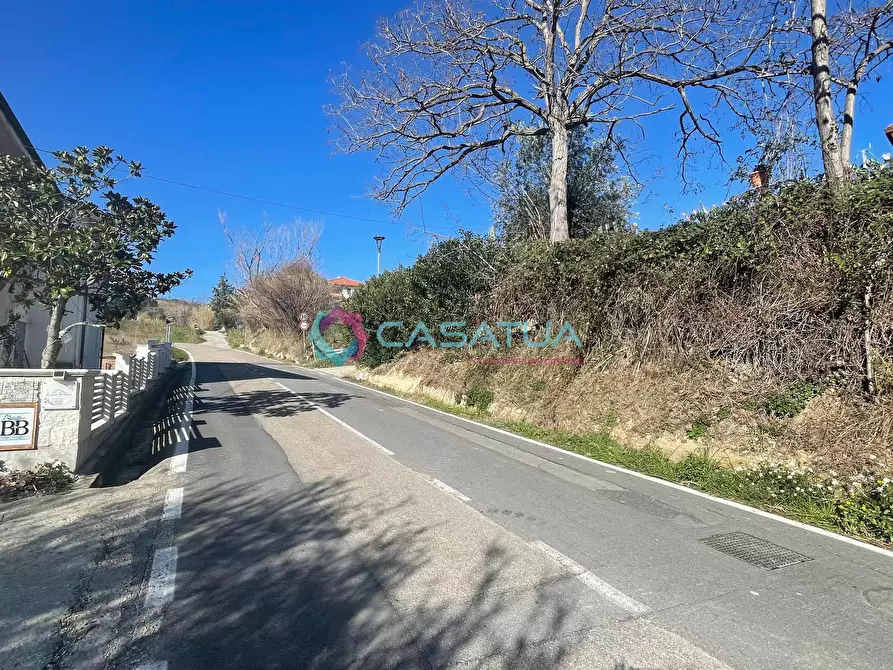 Immagine 39 di Terreno agricolo in vendita  a Silvi