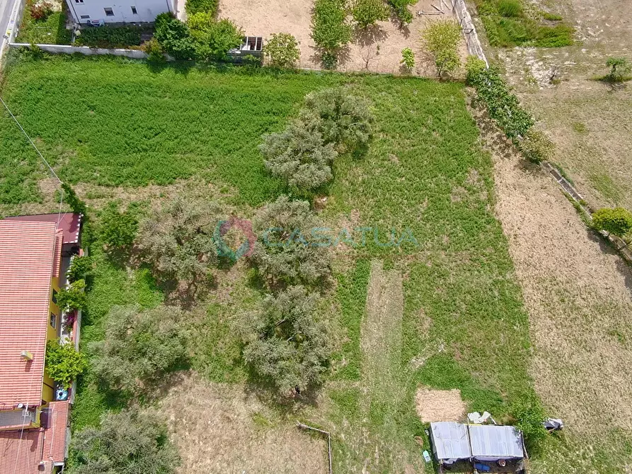 Immagine 41 di Terreno agricolo in vendita  a Silvi