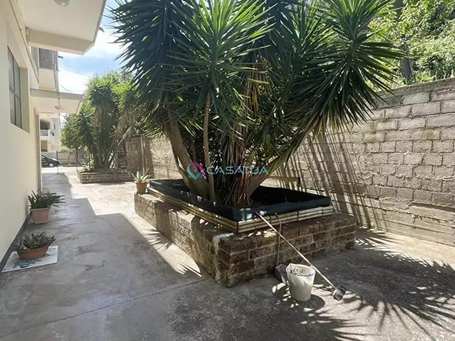 Immagine 46 di Attico in vendita  a Pineto