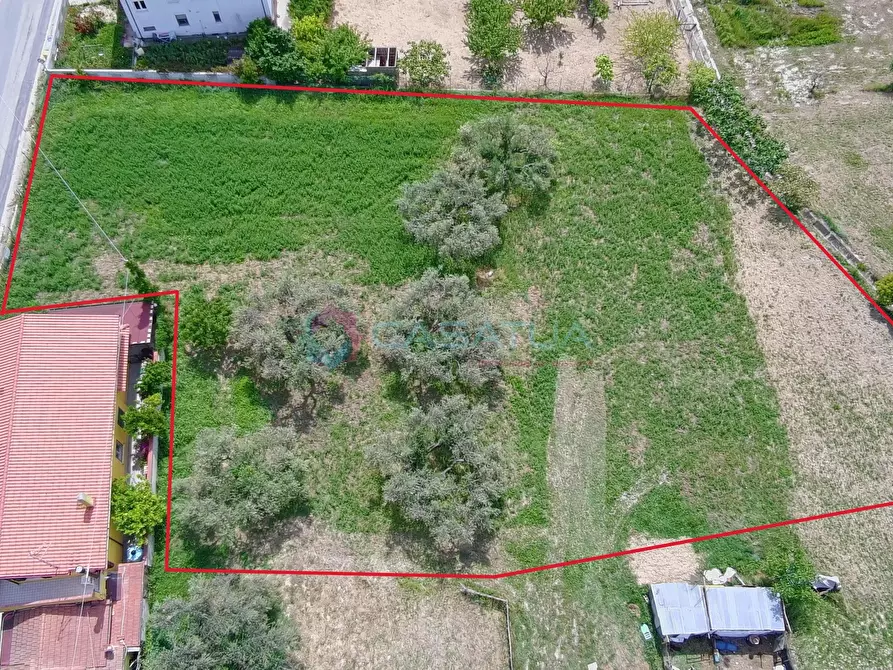 Immagine 1 di Terreno agricolo in vendita  a Silvi