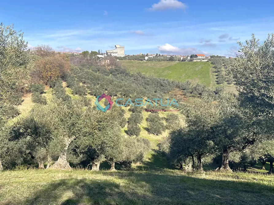 Immagine 48 di Rustico / casale in vendita  a Loreto Aprutino