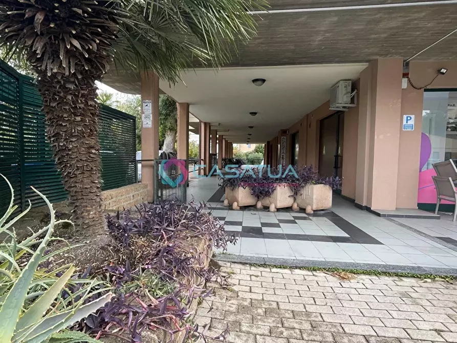 Immagine 12 di Locale commerciale in vendita  a Silvi