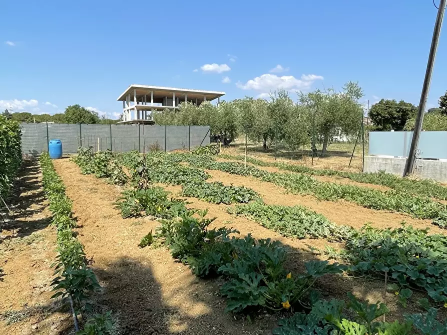 Immagine 8 di Terreno industriale in vendita  a Città Sant'angelo