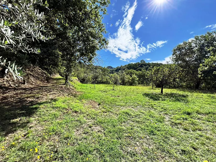 Immagine 37 di Rustico / casale in vendita  in Via Soggia 6 a Sarzana