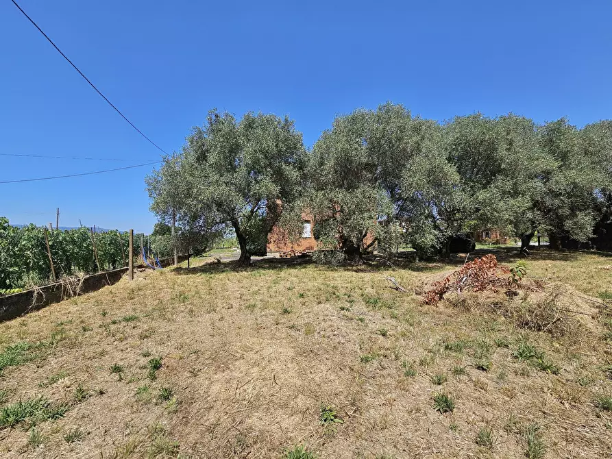 Immagine 11 di Villa in vendita  in Via Dogana 10 a Ortonovo