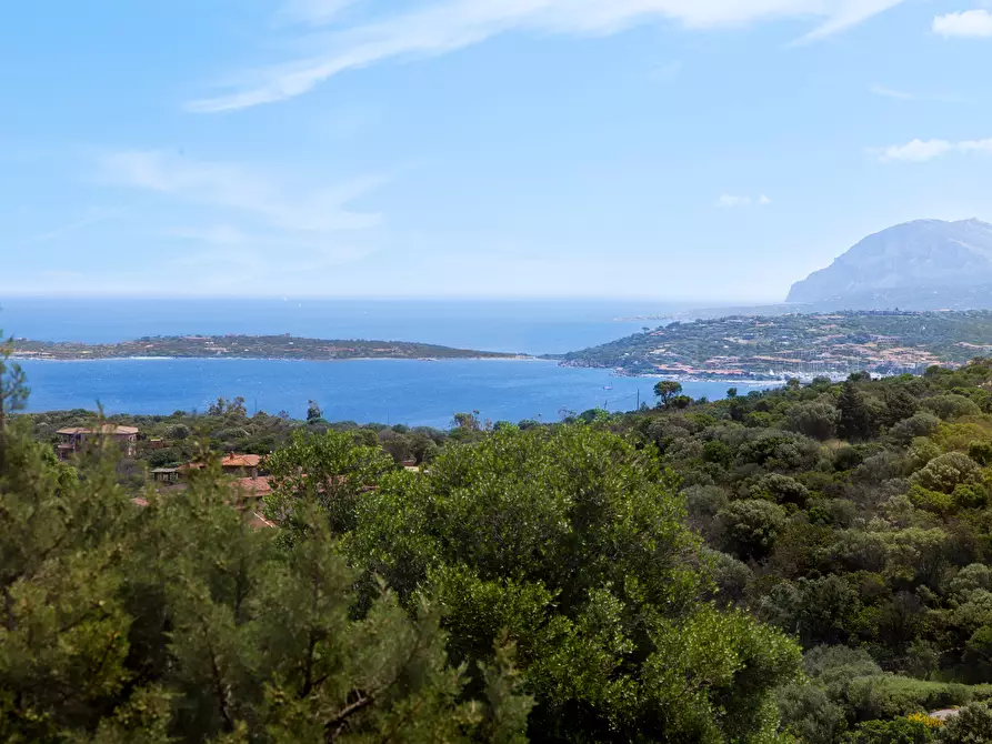 Immagine 32 di Villa in vendita  in Località Milmegghio a Olbia