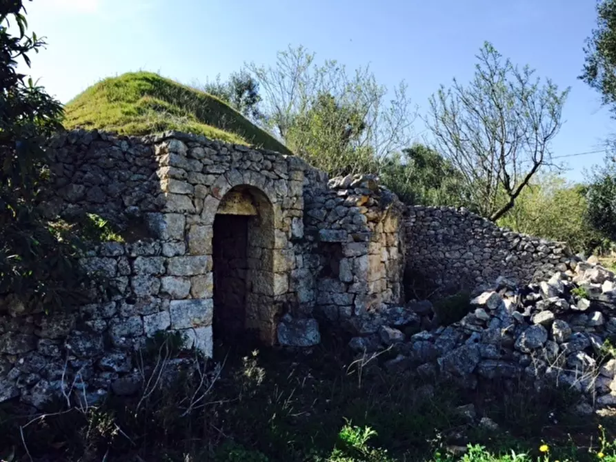 Immagine 9 di Terreno edificabile in vendita  in Contrada Giovannarolla a Ostuni