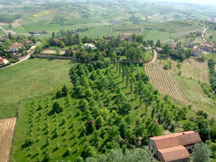 Immagine 42 di Casa indipendente in vendita  in Frazione Lavezzole 43 a San Damiano D'asti