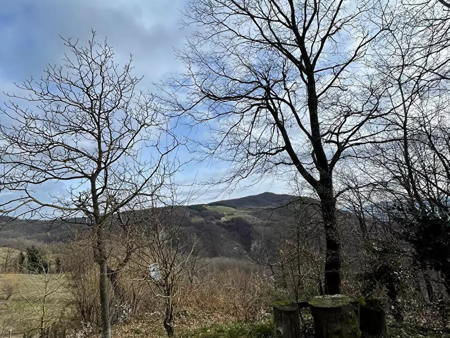 Immagine 27 di Trilocale in affitto  a Solignano