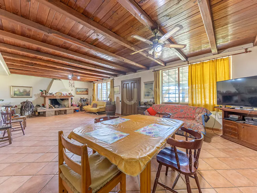 Immagine 43 di Rustico / casale in vendita  in località san quirichello a Barbarano Romano