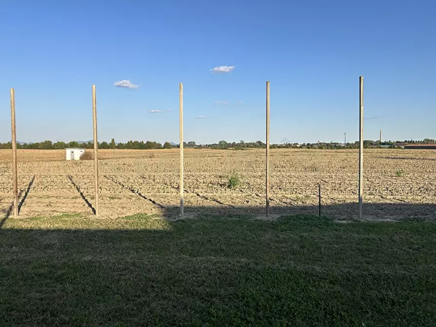 Immagine 66 di Rustico / casale in vendita  in Via Trento 70 a Minerbe