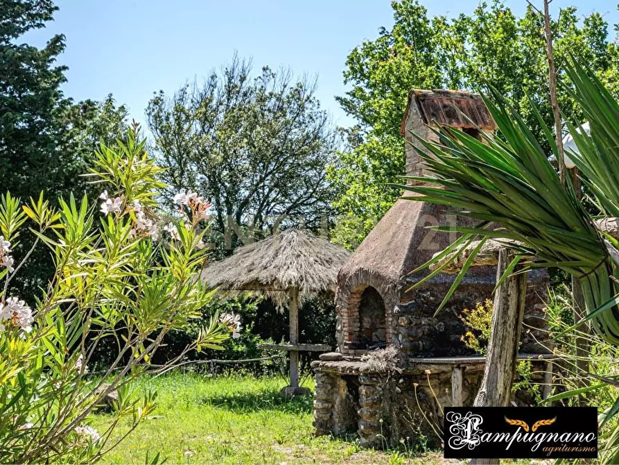 Immagine 18 di Rustico / casale in vendita  in agriturismo lampugnano 47 a Civitella Paganico