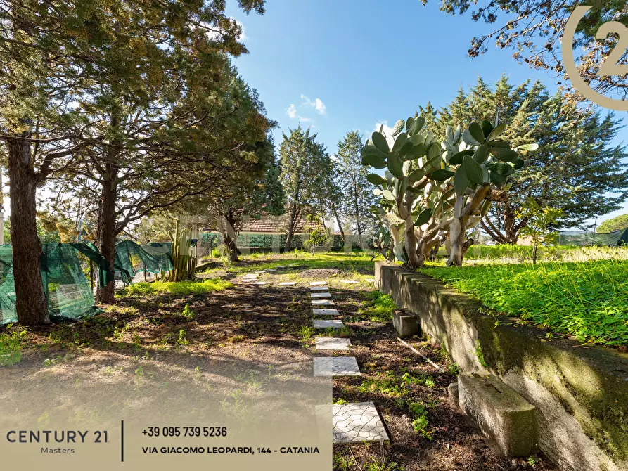 Immagine 52 di Villa in vendita  in Via Francesco Durante 11 a Pedara