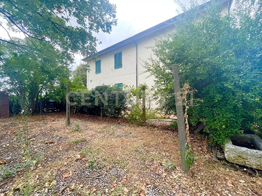 Immagine 12 di Rustico / casale in vendita  in località quarto albegna snc a Manciano