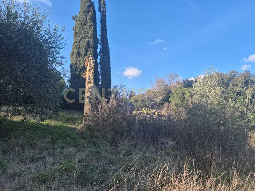 Immagine 4 di Rustico / casale in vendita  in loclaità fontepalma snc a Civitella Paganico
