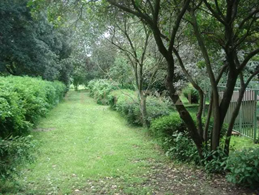 Immagine 19 di Villa in vendita  in Località Poggio Murella 68 a Manciano