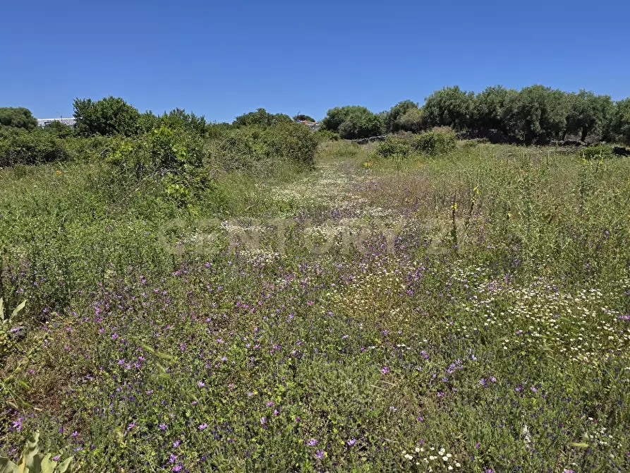 Immagine 57 di Terreno agricolo in vendita  in Vico Agatino De Marco a Gravina Di Catania