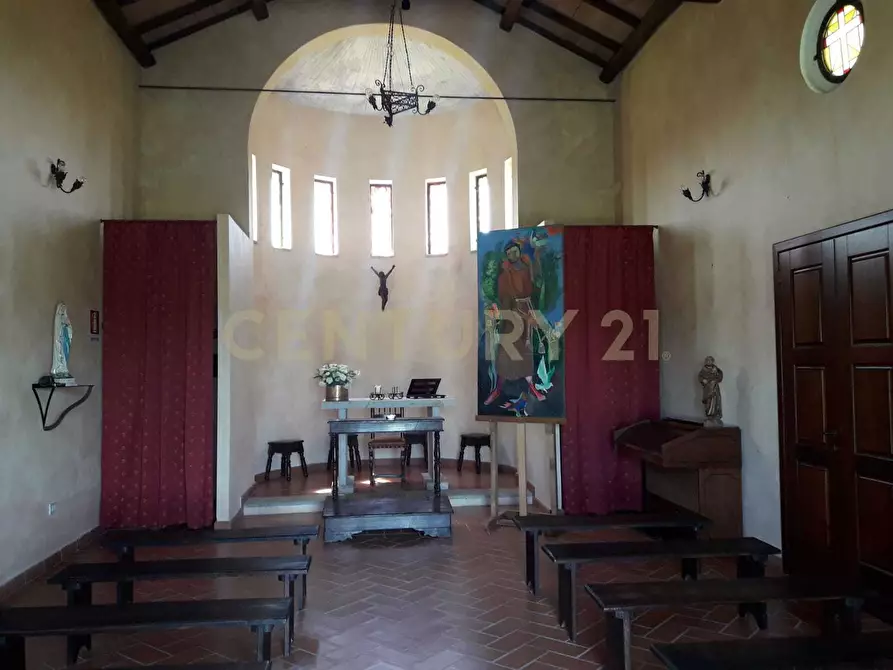 Immagine 9 di Azienda agricola in vendita  in Strada della Sgrilla 16/a a Capalbio