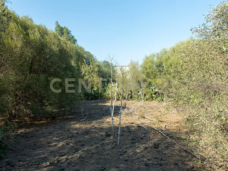 Immagine 22 di Terreno edificabile in vendita  in CONTRA FURERIA snc a Belpasso