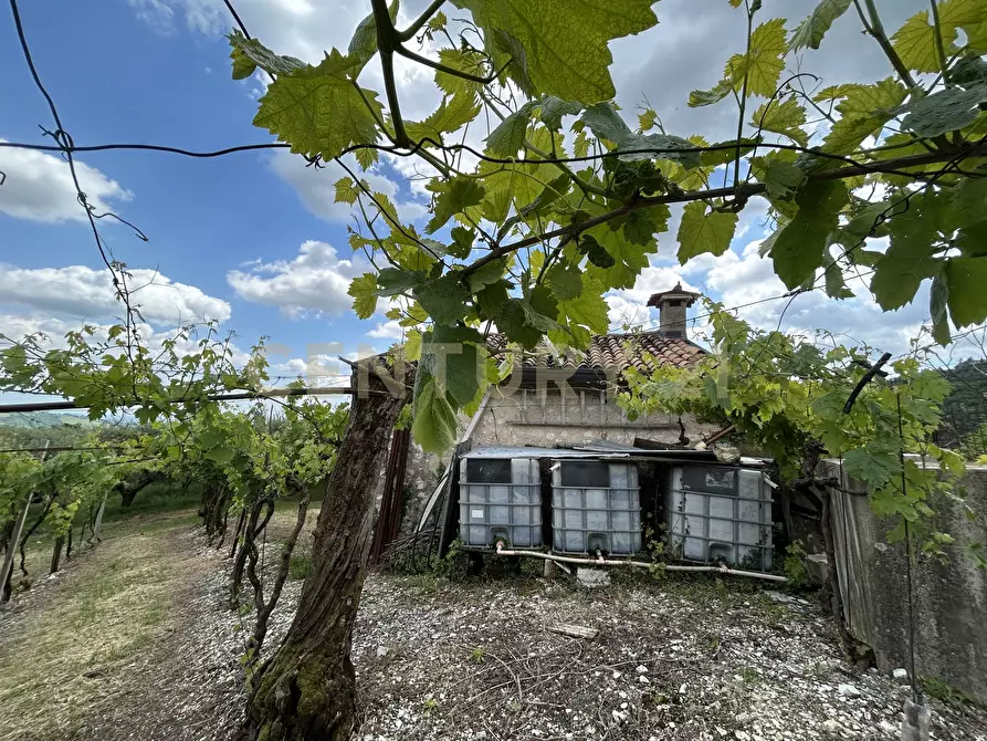 Immagine 17 di Rustico / casale in vendita  in Via Postuman a Mezzane Di Sotto