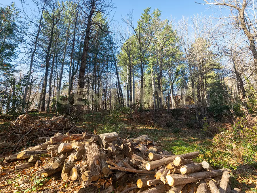 Immagine 3 di Villa in vendita  in Via della Regione 70 a Pedara