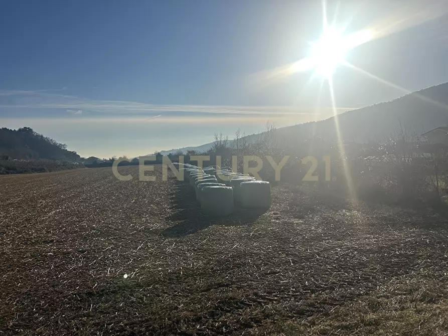 Immagine 4 di Terreno edificabile in vendita  in Via Don Giovanni Calabria 2 a Tregnago