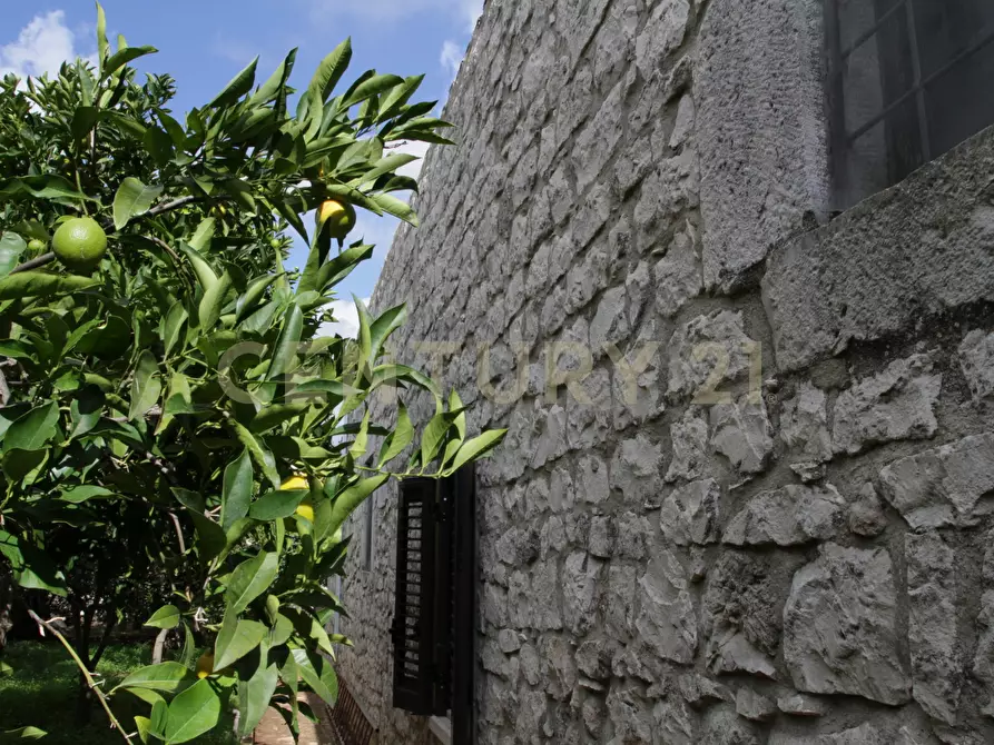 Immagine 16 di Villa in vendita  in Ctr. Pirato Cava Maria 37 a Modica