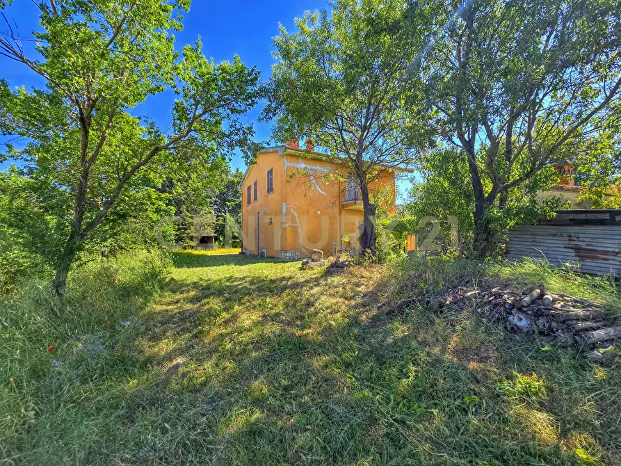 Immagine 35 di Rustico / casale in vendita  in Strada Provinciale Aquilaia a Scansano