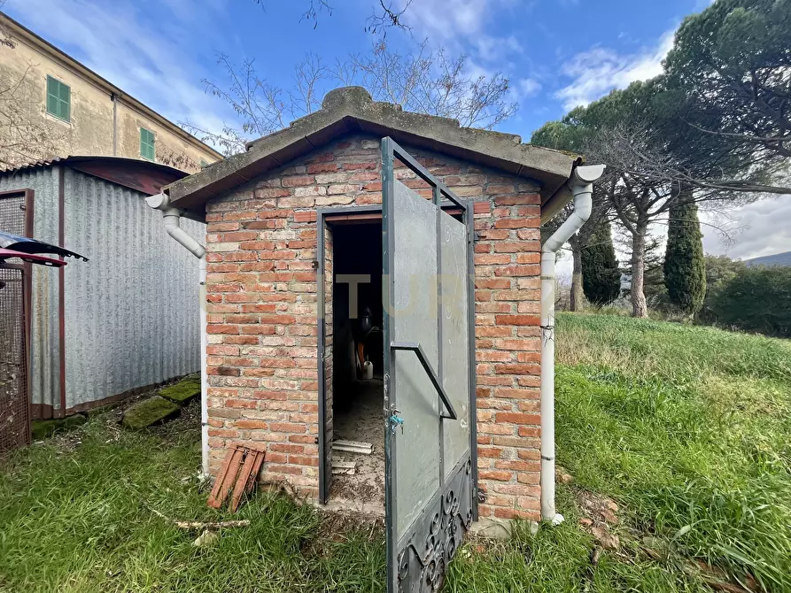 Immagine 10 di Pentalocale in vendita  in località casini a Scansano